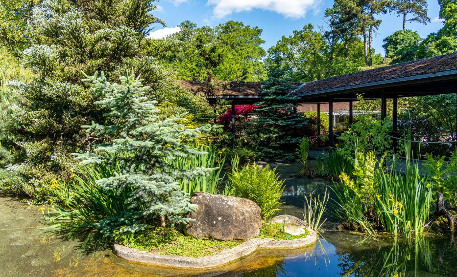 Parc Floral Et Arboré de la Chènevière, , France